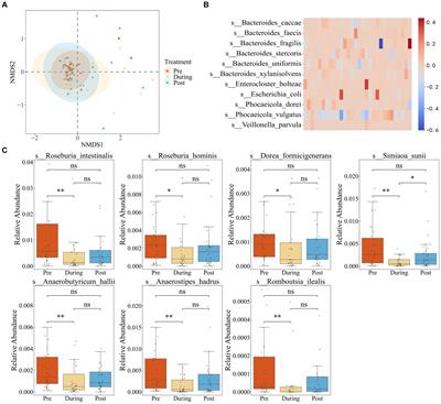 The impact of antibiotic exposure on antibiotic resistance gene dynamics in the gut microbiota of inflammatory bowel disease patients